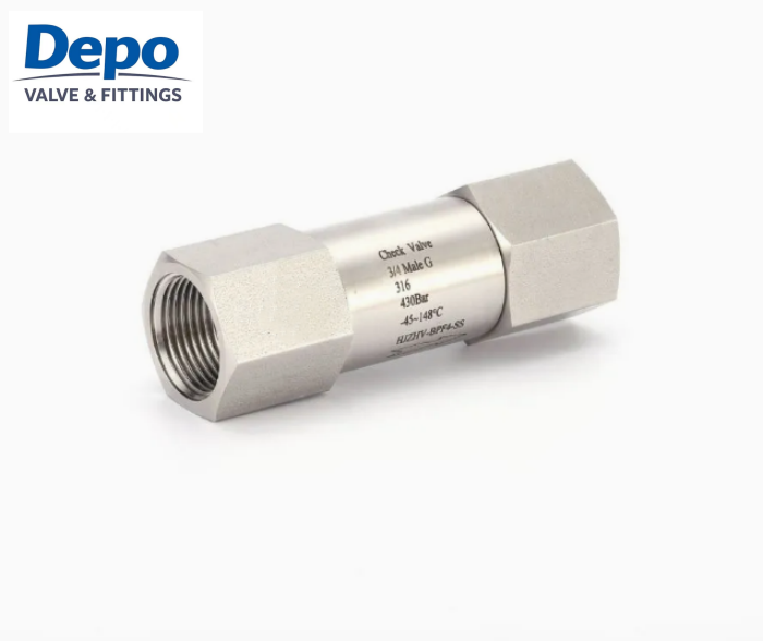 Katup Periksa Satu Arah Baja Tahan Karat Tekanan Tinggi